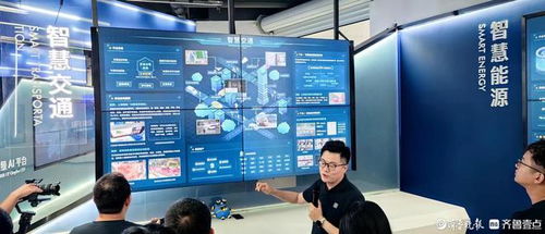 高质量发展调研行 开发工具软件——软件工业的明珠与人工智能应用软件开发